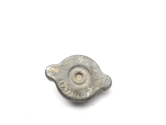 Engine Radiator Cap 2014 Polaris RZR XP 1000 EPS 3095