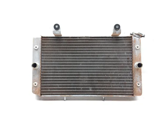 Engine Radiator Cooling 2009 Yamaha Rhino 700 YXR700F 4x4 FI 3104 x
