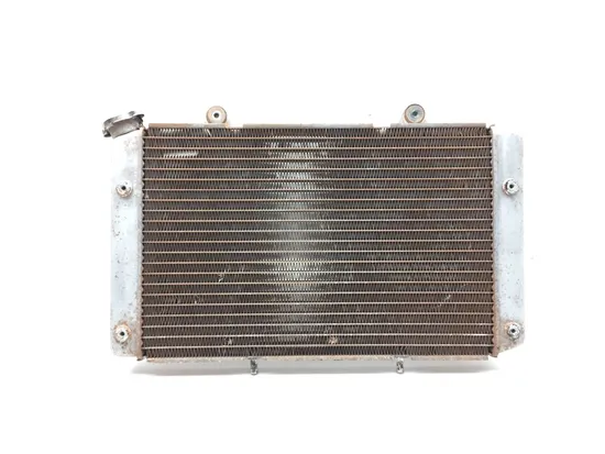 Engine Radiator Cooling 2009 Yamaha Rhino 700 YXR700F 4x4 FI 3104 x