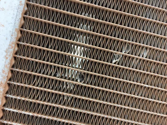 Engine Radiator Cooling 2009 Yamaha Rhino 700 YXR700F 4x4 FI 3104 x