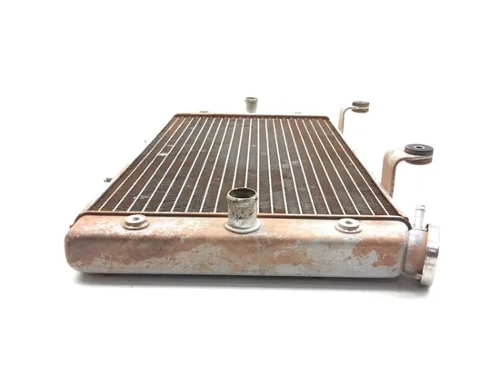 Engine Radiator Cooling 2009 Yamaha Rhino 700 YXR700F 4x4 FI 3104 x