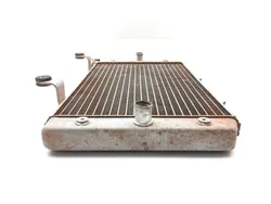 Engine Radiator Cooling 2009 Yamaha Rhino 700 YXR700F 4x4 FI 3104 x