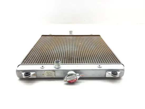 Engine Radiator Cooling 2017 Yamaha YXZ1000R SS 3046 x