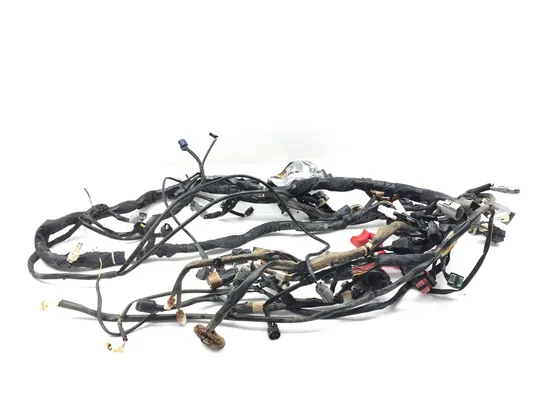 Main Engine Wiring Harness 2017 Yamaha YXZ1000R SS 3046