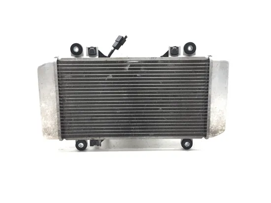 Radiator Cooling Front Fluid with Fan 2012 Kawasaki Ninja 250R EX250J 3107