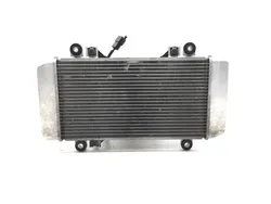 Radiator Cooling Front Fluid with Fan 2012 Kawasaki Ninja 250R EX250J 3107