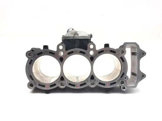 Engine Cylinder Jug W Piston 2018 Triumph Street Triple R ABS 3108 8