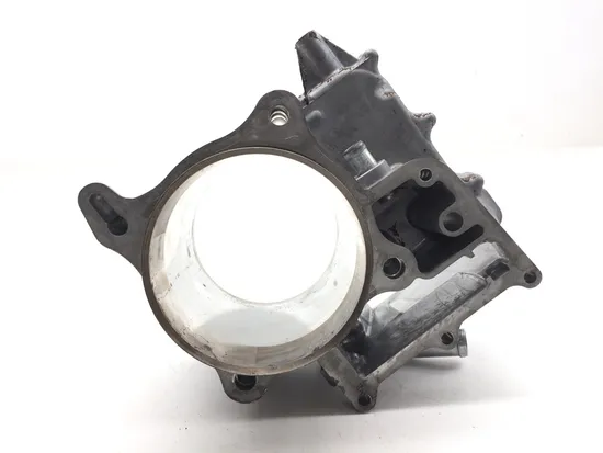 Engine Cylinder Jug W Piston 2017 Honda Pioneer 700 SXS700M2D Deluxe 3105 x