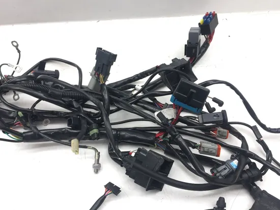 Main Engine Wiring Harness 2001 Harley Electra Glide Ultra Classic EFI 3123