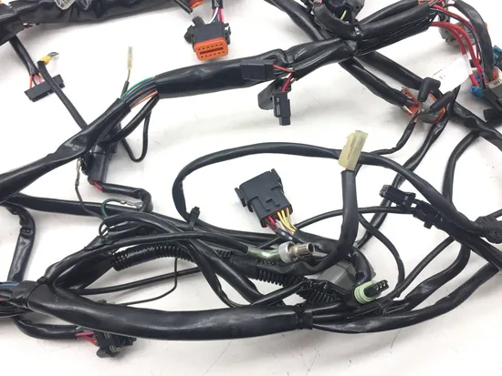 Main Engine Wiring Harness 2001 Harley Electra Glide Ultra Classic EFI 3123