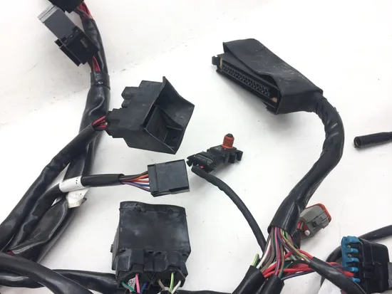 Main Engine Wiring Harness 2001 Harley Electra Glide Ultra Classic EFI 3123
