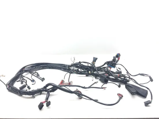 Main Engine Wiring Harness 2001 Harley Electra Glide Ultra Classic EFI 3123