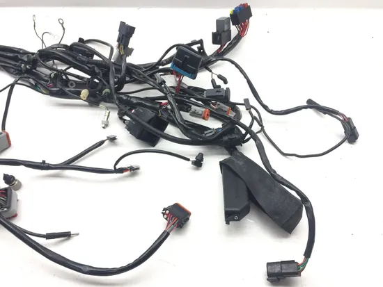 Main Engine Wiring Harness 2001 Harley Electra Glide Ultra Classic EFI 3123