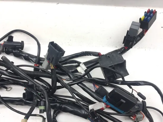 Main Engine Wiring Harness 2001 Harley Electra Glide Ultra Classic EFI 3123