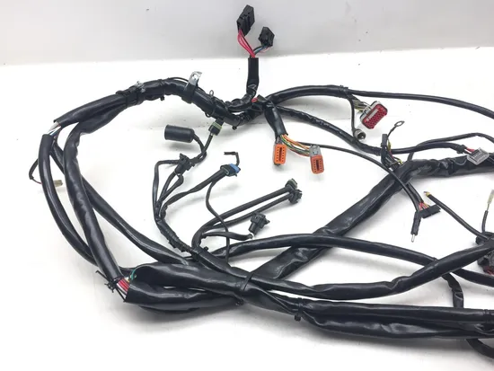 Main Engine Wiring Harness 2001 Harley Electra Glide Ultra Classic EFI 3123