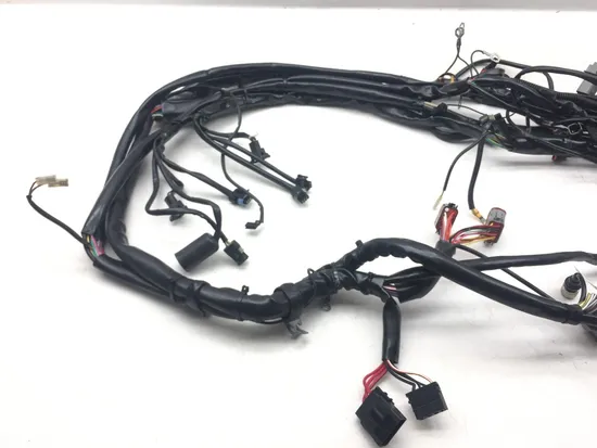 Main Engine Wiring Harness 2001 Harley Electra Glide Ultra Classic EFI 3123