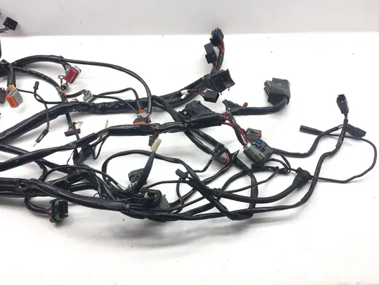 Main Engine Wiring Harness 2001 Harley Electra Glide Ultra Classic EFI 3123