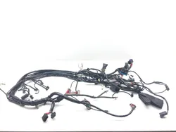 Main Engine Wiring Harness 2001 Harley Electra Glide Ultra Classic EFI 3123