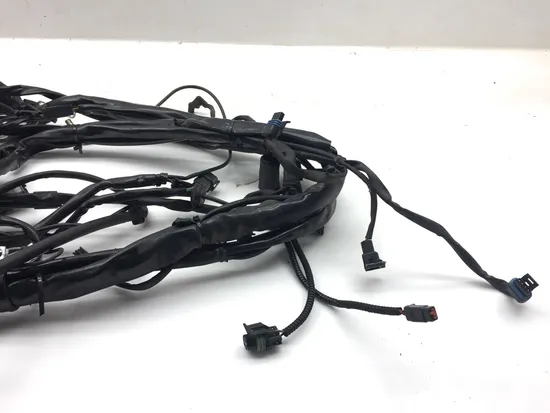 Main Engine Wiring Harness 2005 Harley Electra Ultra Classic EFI FLHTCUI 3121 x