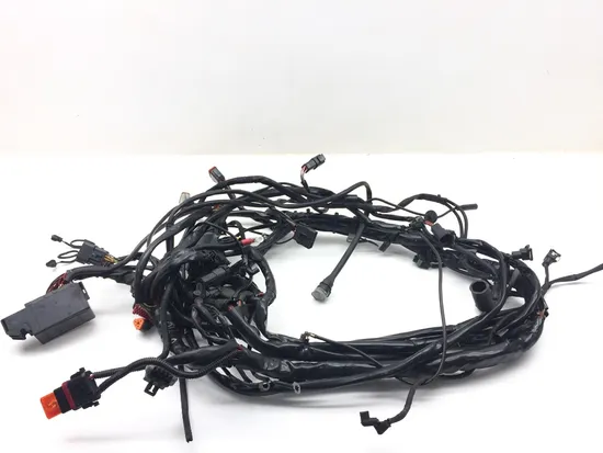 Main Engine Wiring Harness 2005 Harley Electra Ultra Classic EFI FLHTCUI 3121 x