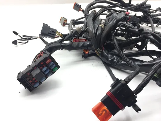 Main Engine Wiring Harness 2005 Harley Electra Ultra Classic EFI FLHTCUI 3121 x
