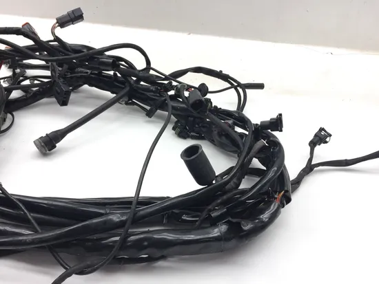 Main Engine Wiring Harness 2005 Harley Electra Ultra Classic EFI FLHTCUI 3121 x