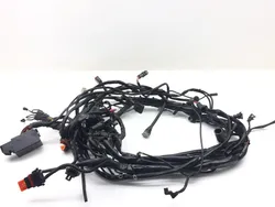 Main Engine Wiring Harness 2005 Harley Electra Ultra Classic EFI FLHTCUI 3121 x