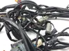 Main Engine Wiring Harness 2005 Harley Electra Ultra Classic EFI FLHTCUI 3121 x