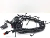 Main Engine Wiring Harness 2005 Harley Electra Ultra Classic EFI FLHTCUI 3121 x