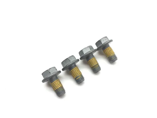 Front Brake Caliper Mounting Bolts 2019 Can-Am Ryker 900 Rally Edition 3117