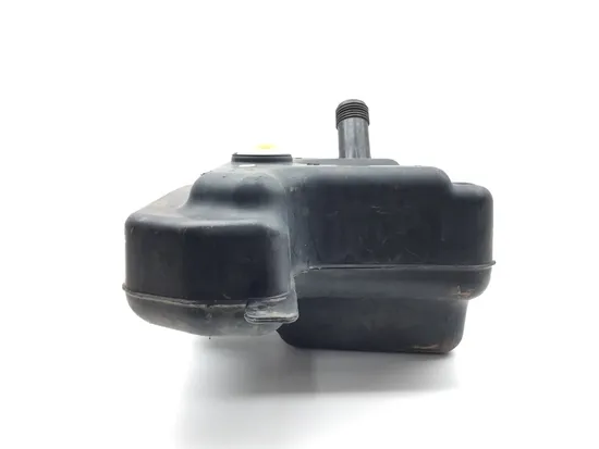 Gas Fuel Tank 2017 Polaris ACE 570 SP 3136