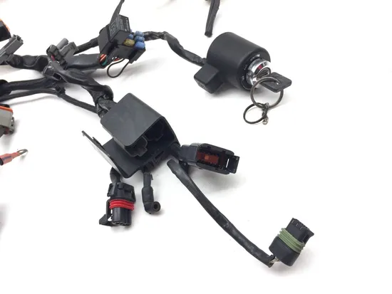 Main Engine Wiring Harness 2005 Harley Sportster 1200 Custom XL1200C 3138