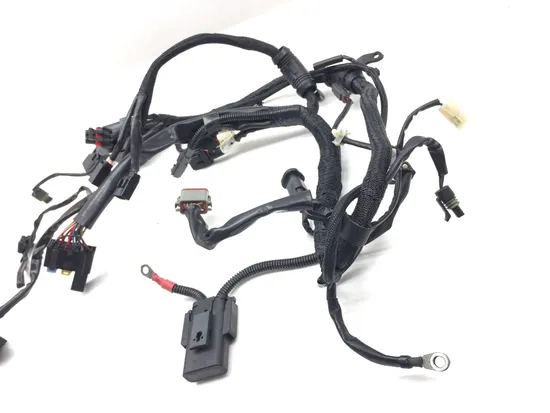 Main Engine Wiring Harness 2005 Harley Sportster 1200 Custom XL1200C 3138