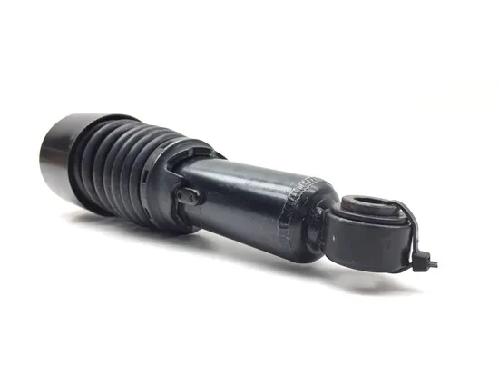 10.5 in Rear Lowering Shocks 2005 Harley Sportster 1200 Custom XL1200C 3138 x