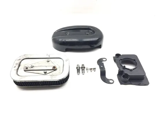 Air Filter Cover W Mount 2013 Harley-Davidson Forty Eight 48 XL1200X 3116 PARTS