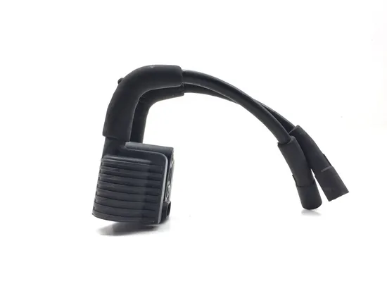 Ignition Coil Set 2013 Harley-Davidson Forty Eight 48 XL1200X 3116