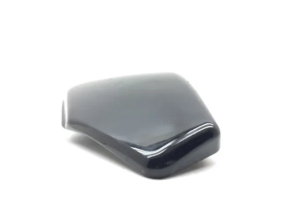 Left Side Cover 2013 Harley-Davidson Forty Eight 48 XL1200X 3116 x 7