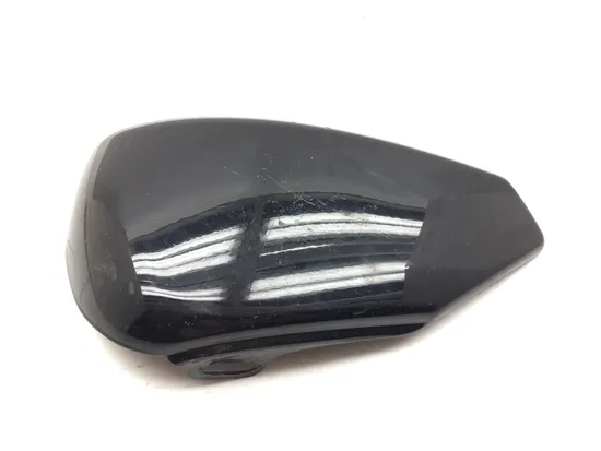 Left Side Cover 2013 Harley-Davidson Forty Eight 48 XL1200X 3116 x