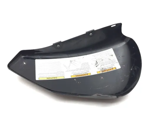 Left Side Cover 2013 Harley-Davidson Forty Eight 48 XL1200X 3116 x 8