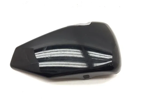 Right Side Cover 2013 Harley-Davidson Forty Eight 48 XL1200X 3116 x