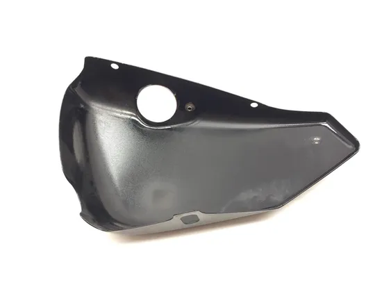 Right Side Cover 2013 Harley-Davidson Forty Eight 48 XL1200X 3116 x