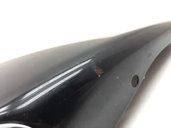 Right Side Cover 2013 Harley-Davidson Forty Eight 48 XL1200X 3116 x