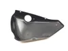 Right Side Cover 2013 Harley-Davidson Forty Eight 48 XL1200X 3116 x