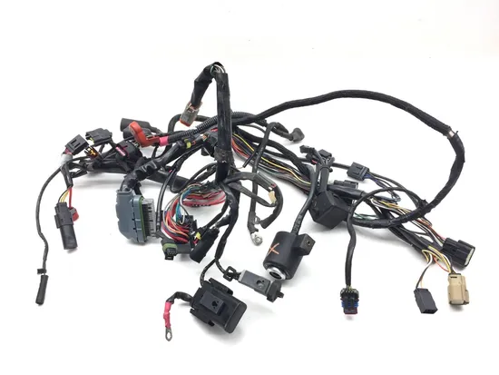 Main Engine Wiring Harness 2013 Harley-Davidson Forty Eight 48 XL1200X 3116 x