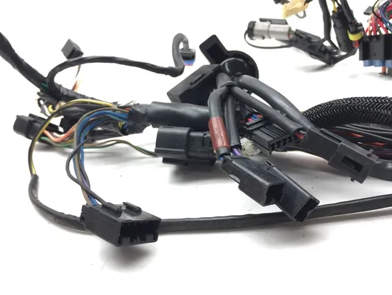 Main Engine Wiring Harness 2013 Harley-Davidson Forty Eight 48 XL1200X 3116 x