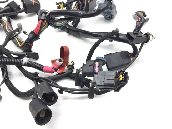 Main Engine Wiring Harness 2013 Harley-Davidson Forty Eight 48 XL1200X 3116 x