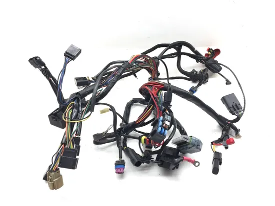 Main Engine Wiring Harness 2013 Harley-Davidson Forty Eight 48 XL1200X 3116 x