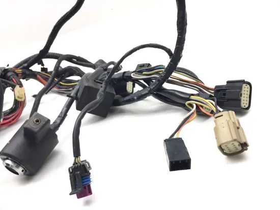 Main Engine Wiring Harness 2013 Harley-Davidson Forty Eight 48 XL1200X 3116 x