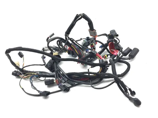 Main Engine Wiring Harness 2013 Harley-Davidson Forty Eight 48 XL1200X 3116 x