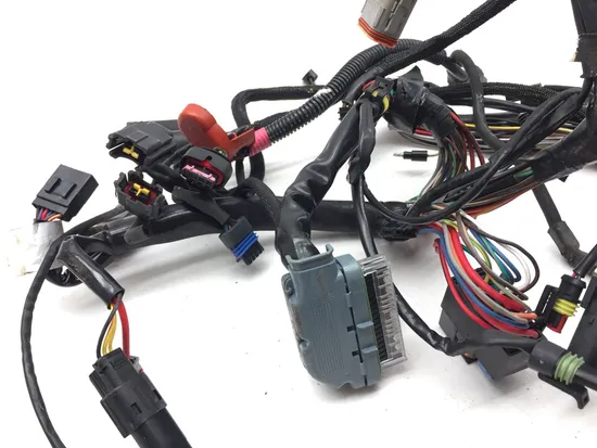 Main Engine Wiring Harness 2013 Harley-Davidson Forty Eight 48 XL1200X 3116 x